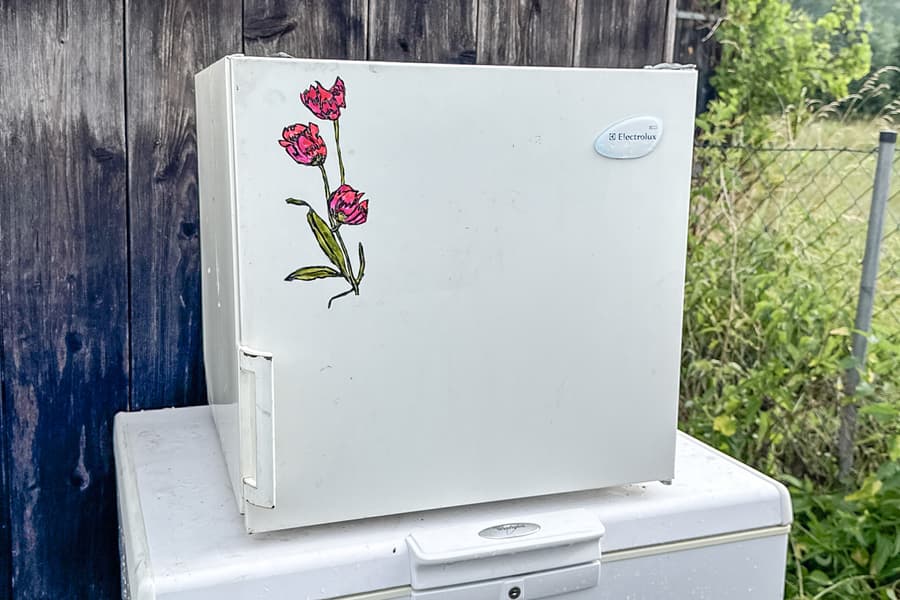 Kühlschrank Electrolux FB 50 I